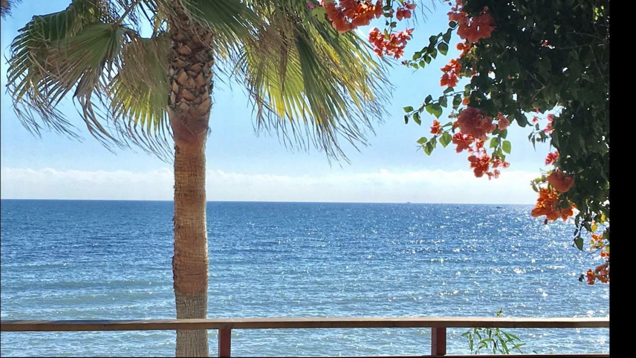 לה קאלה דה מיחאס Mi Capricho B16 Beachfront Apartment מראה חיצוני תמונה